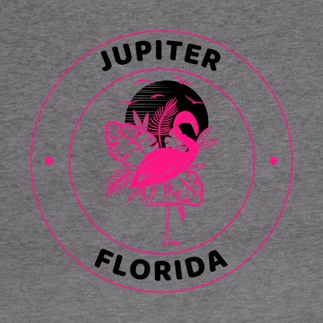 Jupiter, Florida Flamingo T-shirt by Mountain Morning Graphics